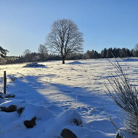 Tiny House A La Ty Vosg'breizh Tatil Evi *